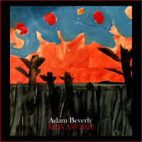 Adam Beverly - Aewaw2020