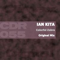 Ian Kita - Colorful Zebra