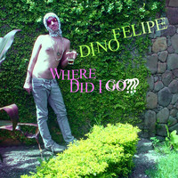 Dino Felipe - Where Did I Go?