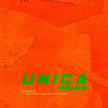 newstile / - Unica (Remix)