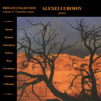 Alexei Lubimov - Private Collection, Vol. 2: Chamber Music
