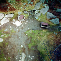 The Field Tapes - Wren Moss