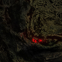Herzeloyde - Nayba