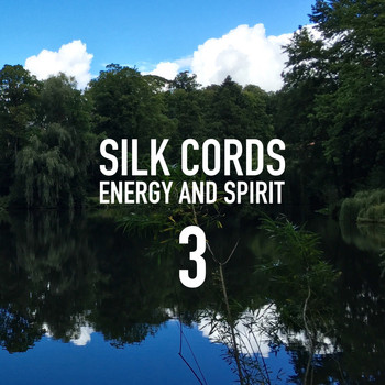Silk Cords - Energy and Spirit, Vol. 3