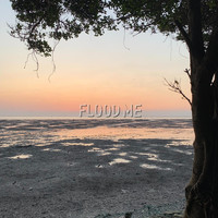 James Ro - Flood Me