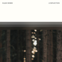 Elijah Bisbee - A Reflection