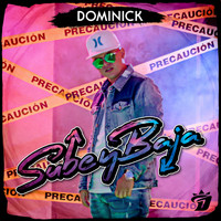 Dominick - Sube y Baja (Explicit)
