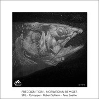 Oyhopper - Precognition, Norwegian Remixes