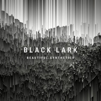 Black Lark - Beautiful Synthetics