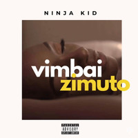 Ninja Kid - Vimbai Zimuto (Explicit)