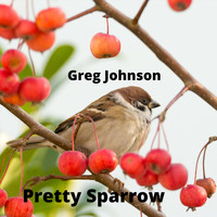 Greg Johnson - Pretty Sparrow