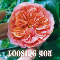 Raphael Schön - Loosing You