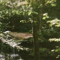 The Field Tapes - Catskill