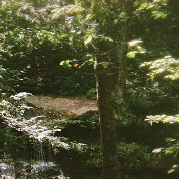 The Field Tapes - Catskill