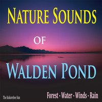The Kokorebee Sun - Nature Sounds of Walden Pond (Forest, Water, Winds, and Rain)