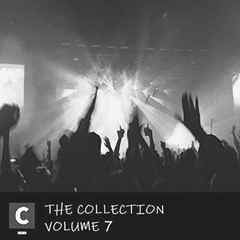 Various Artists - The Collection - Volume 7 (Edits) (Explicit)