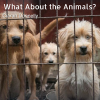 Ciaran Donnelly - What About the Animals?