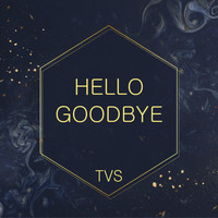 Twenty Visionary Solutions - Hello Goodbye