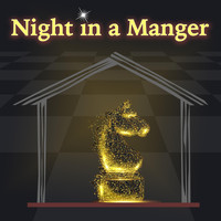 Matt Johnson - Night in a Manger