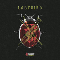 DMU Jazz Band - Ladybird