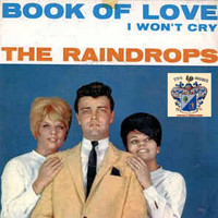 The Raindrops - Book of Love