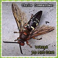 Chris Commander - Wasps Do Not Care