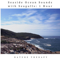 Nature Therapy - Seaside Ocean Sounds with Seagulls: One Hour