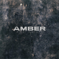 Amber - Sight Picture
