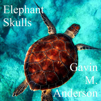 Gavin M. Anderson - Elephant Skulls