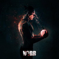 NORR - Enmity