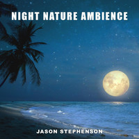 Jason Stephenson - Night Nature Ambience