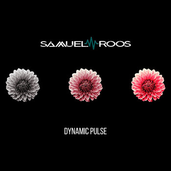 Samuel Roos - Dynamic Pulse