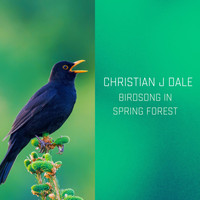 Christian J Dale - Birdsong in Spring Forest