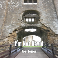 Joe Jones - I'm Not David
