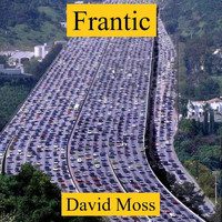 David Moss - Frantic