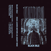 Black Bile - Dead Leaves Before an Angry Wind