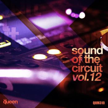 Various Artists - Sound of the Circuit, Vol. 12