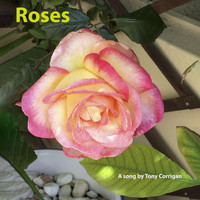 Tony Corrigan - Roses