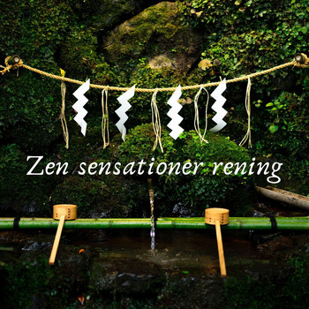 Blandade artister - Zen sensationer rening