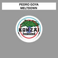 Pedro Goya - Meltdown