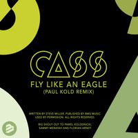 Cass - Fly Like an Eagle (Paul Kold Remix)