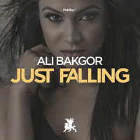 Ali Bakgor - Just Falling