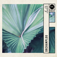 Drchamploo - Sable