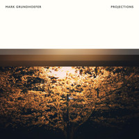 Mark Grundhoefer - Projections