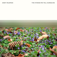 Andy Feldman - The Stories We Tell Ourselves