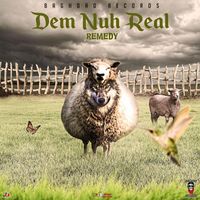 Remedy - Dem Nuh Real