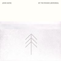 John Hayes - By The Woods (Reworks)