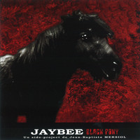 Jean Baptiste Mersiol - Black Pony