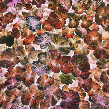 invention_ - minimalush