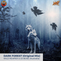 DJ Bose - Dark Forest (feat. Wild Reaper)